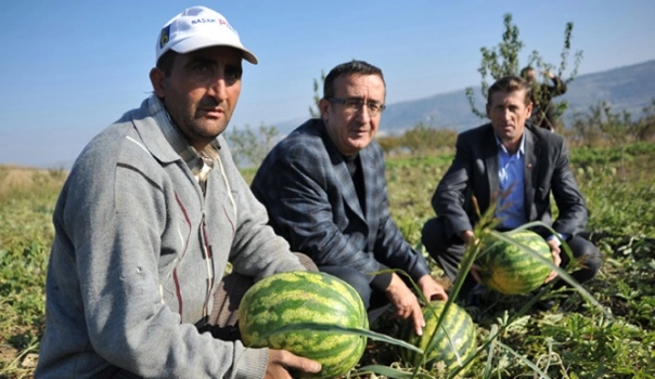 Daha karpuz keseceğimiz günler var!