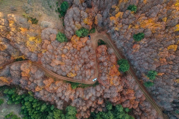 Uludağ sarı ve yeşilin tonlarıyla bir başka güzel