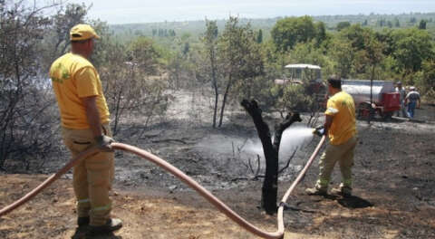 Orhangazi'de çıkan arazi yangını ormana sıçramadan söndürüldü