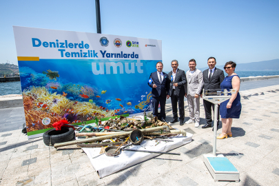 Gemlik sahilinde ölü yunus bulundu