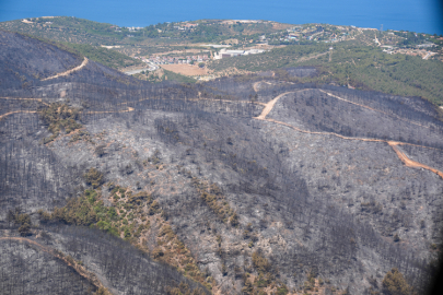 İzmir ve Balıkesir'deki orman yangınları kontrol altına alındı