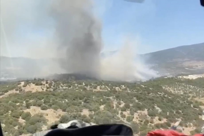 Muğla'nın Milas ilçesindeki yangında 3 hektarlık alan zarar gördü