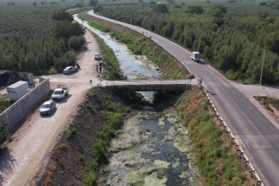 Bursa'nın coğrafi işaretli armudu tehlikede!