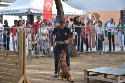 Halk Sağlığı Haftası’nda gündem, ‘Sokak Hayvanları’