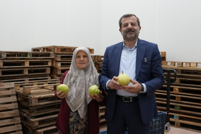 Hayriye teyze Gürsu armudu ile girişimci oldu