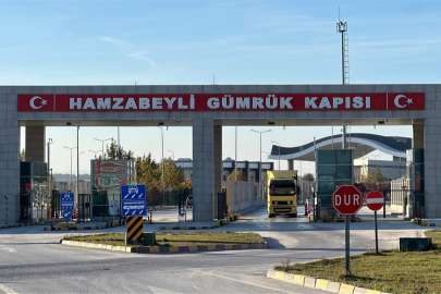 Türkoğlu gümrük kapılarındaki 30 kilometrelik tır kuyruklarını sordu