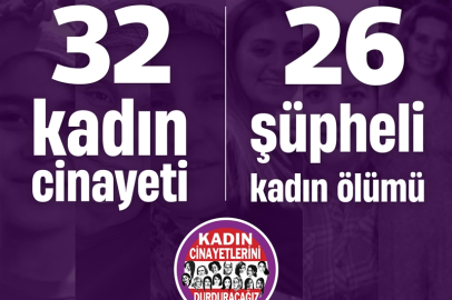 Kasım'da 32 kadın cinayeti, 26 şüpheli ölüm gerçekleşti